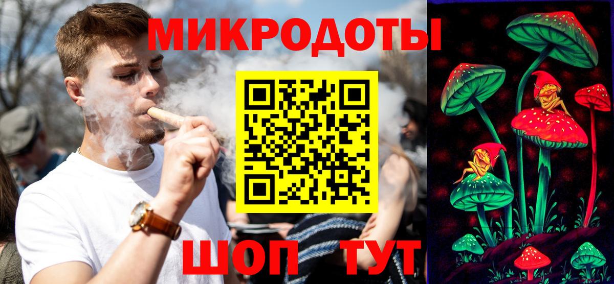 Псилоцибиновые грибы Psilocybe Сокол
