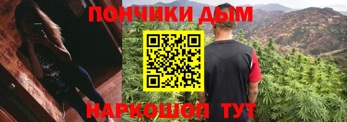 Бошки Шишки AK-47  Марихуана план  Вход с VPN  МАРИХУАНА гибрид  Сокол 